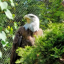 Cleveland Metroparks Zoo - Cleveland