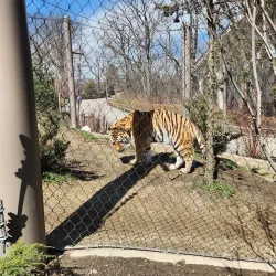 Cleveland Metroparks Zoo - Cleveland