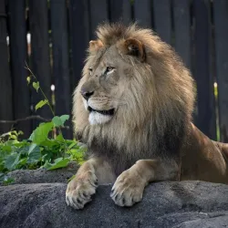 Cleveland Metroparks Zoo - Cleveland