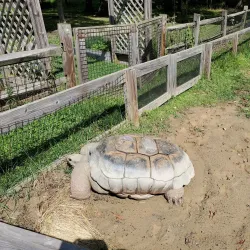 Cleveland Metroparks Zoo - Cleveland