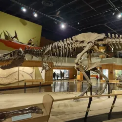 Cleveland Museum of Natural History - Cleveland