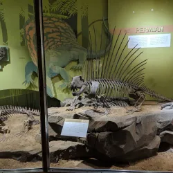 Cleveland Museum of Natural History - Cleveland