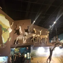 Cleveland Museum of Natural History - Cleveland