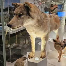 Cleveland Museum of Natural History - Cleveland