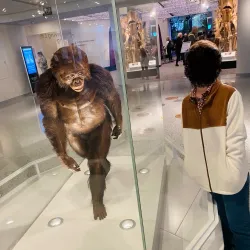 Cleveland Museum of Natural History - Cleveland