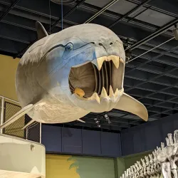 Cleveland Museum of Natural History - Cleveland