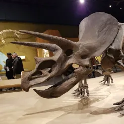 Cleveland Museum of Natural History - Cleveland