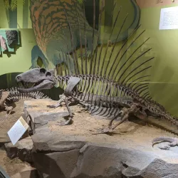 Cleveland Museum of Natural History - Cleveland