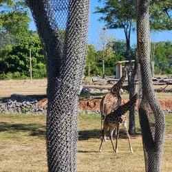 Columbus Zoo and Aquarium - Columbus