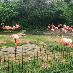 Columbus Zoo and Aquarium - Columbus