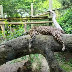 Columbus Zoo and Aquarium - Columbus