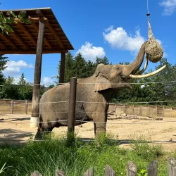 Columbus Zoo and Aquarium - Columbus