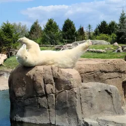 Columbus Zoo and Aquarium - Columbus