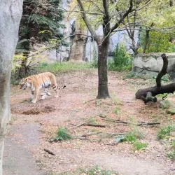 Columbus Zoo and Aquarium - Columbus