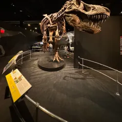 COSI (Center of Science and Industry) - Columbus