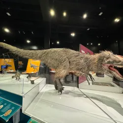 COSI (Center of Science and Industry) - Columbus