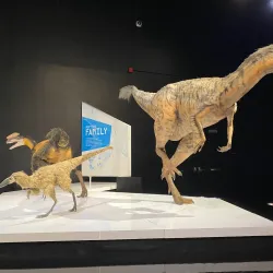 COSI (Center of Science and Industry) - Columbus