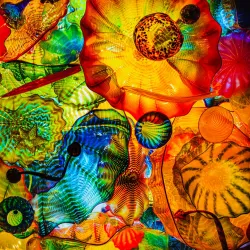 Franklin Park Conservatory and Botanical Gardens - Columbus