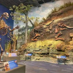 Boonshoft Museum of Discovery - Dayton