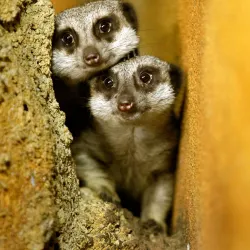 Boonshoft Museum of Discovery - Dayton