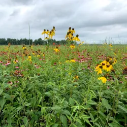 Huffman Prairie Flying Field - Dayton