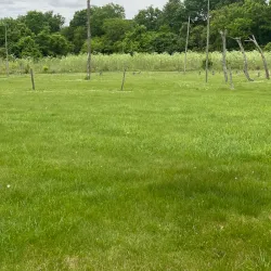 SunWatch Indian Village/Archaeological Park - Dayton