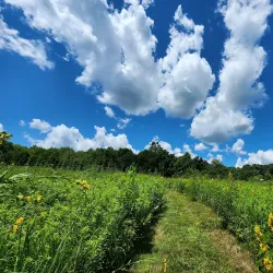Englewood Nature Preserve - Englewood