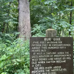 Englewood Nature Preserve - Englewood