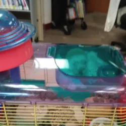 Englewood Public Library - Englewood