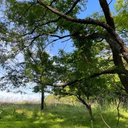 Benjamin Rush State Park - Fairborn