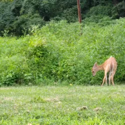 Benjamin Rush State Park - Fairborn