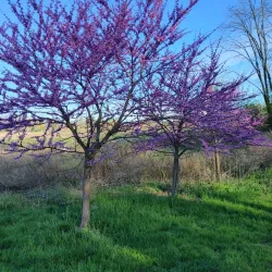 Benjamin Rush State Park - Fairborn