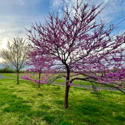 Benjamin Rush State Park - Fairborn