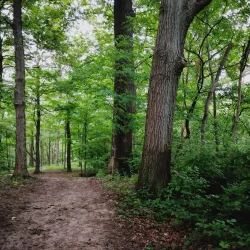 Fairborn Community Park - Fairborn