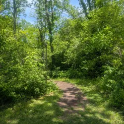 Fairborn Community Park - Fairborn