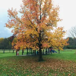 Fairborn Community Park - Fairborn