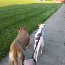 Fairborn Skate Park - Fairborn