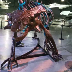 Wright-Patterson Air Force Base Museum - Fairborn