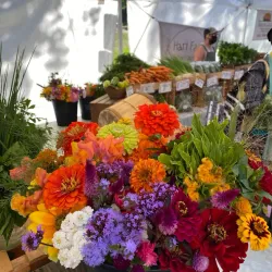 Greenfield Farmers Market - Greenfield