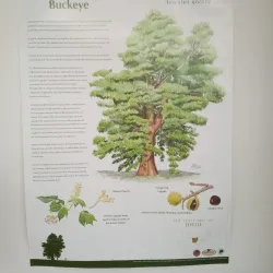 Greenfield Public Library - Greenfield