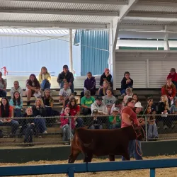 Highland County Fairgrounds - Greenfield