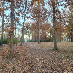 Millikin Woods Nature Preserve - Hamilton