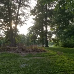 Millikin Woods Nature Preserve - Hamilton