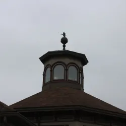 The Lane Public Library - Hamilton