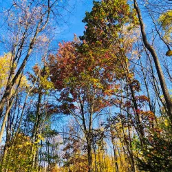 Cascade Valley Metro Park - Hudson