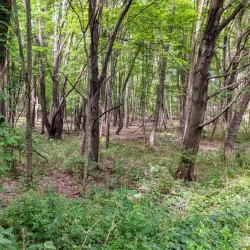 Cascade Valley Metro Park - Hudson