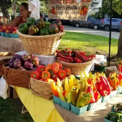 Hudson Farmers Market - Hudson