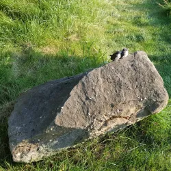 Hudson Springs Golf Course - Hudson