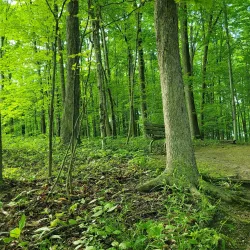 Hudson Springs Park - Hudson