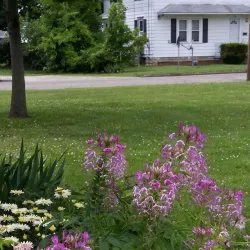 Lancaster City Park - Lancaster